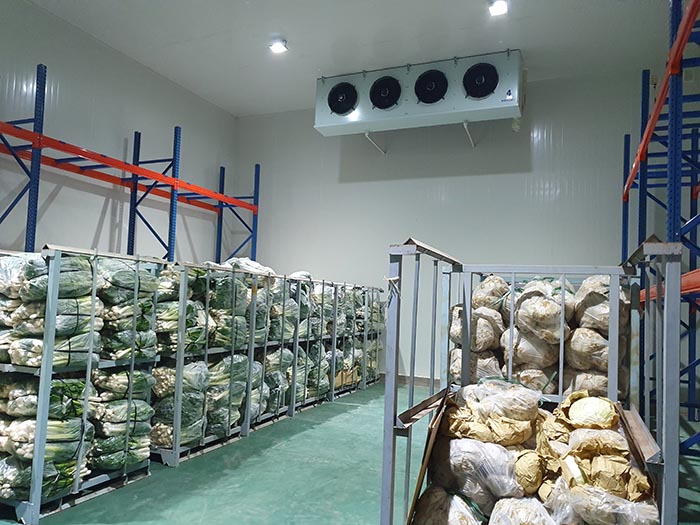 lắp kho lạnh tại Quảng Ngãi