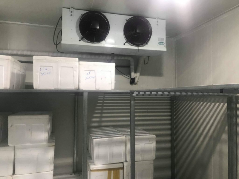 lắp kho cấp đông quảng ngãi